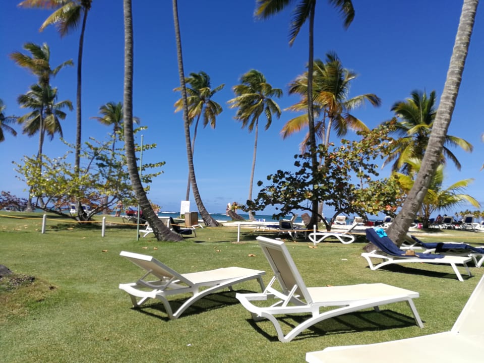 Gartenanlage Wyndham Alltra Samana