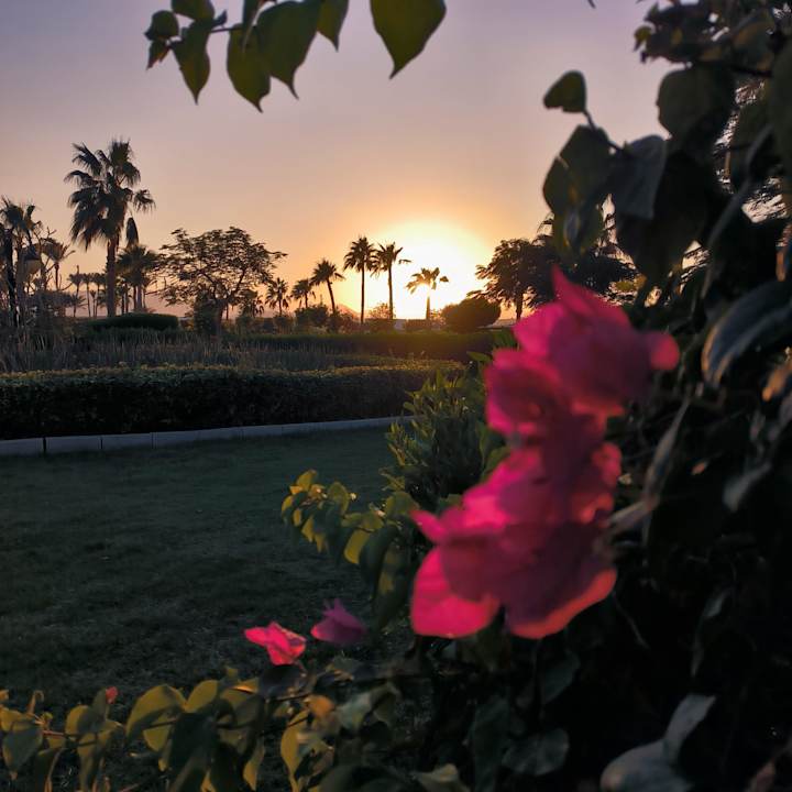 Gartenanlage Cleopatra Luxury Resort Makadi Bay