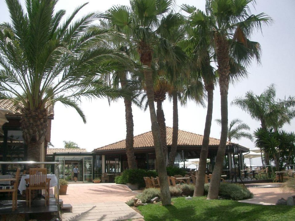 Links Restaurant, rechts Liegewiese Alcudiamar Marina Residence