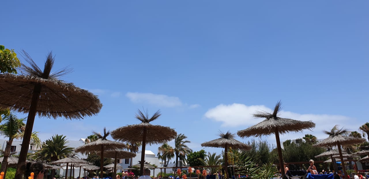 Pool allsun App.-Hotel Albatros