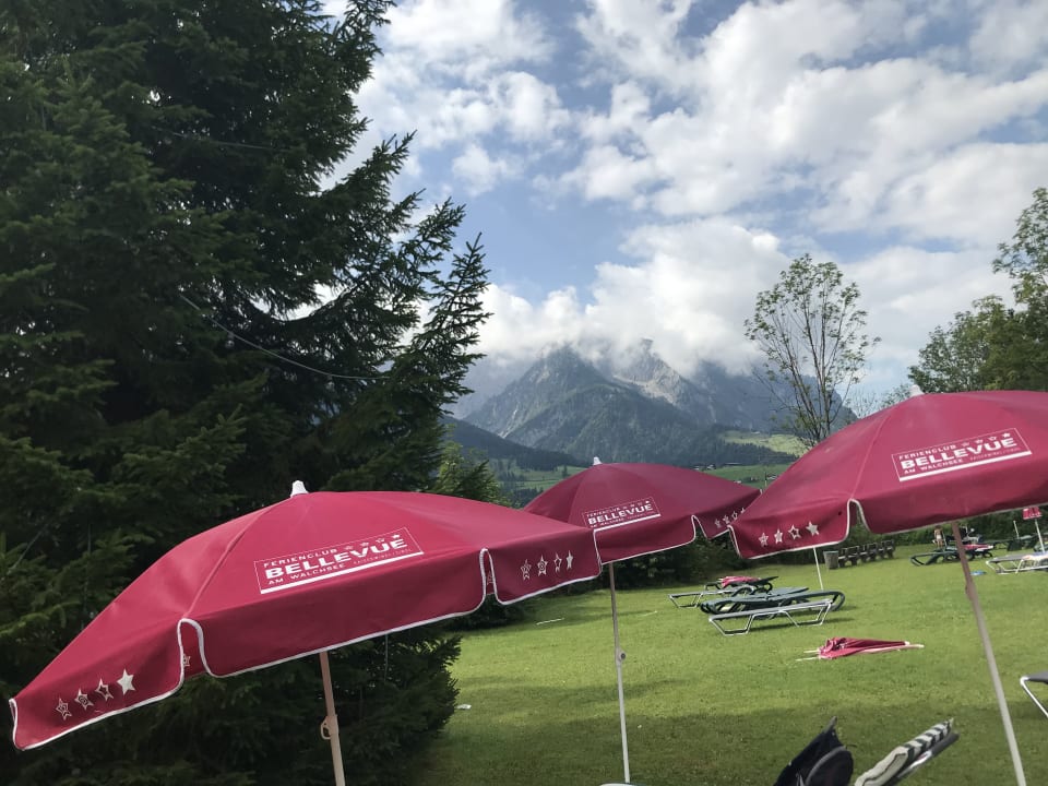 Gartenanlage Hotel Bellevue am See