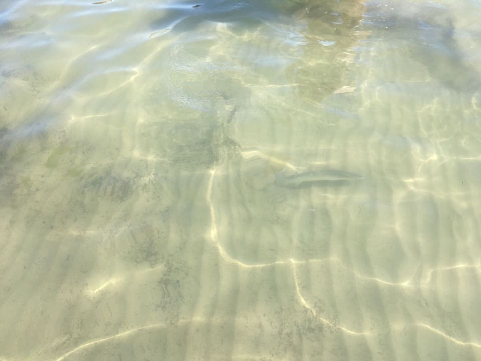 Strand Stellamare Beach Hotel