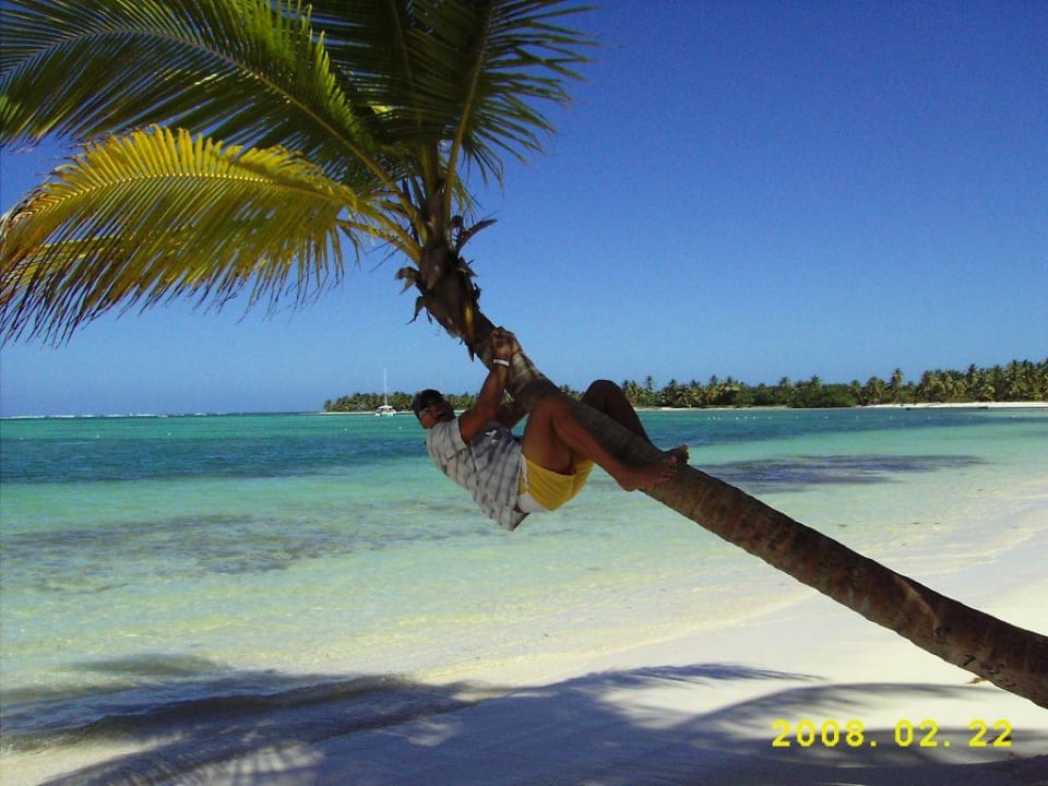 Bacardipalme Villas Bavaro Resort & Spa