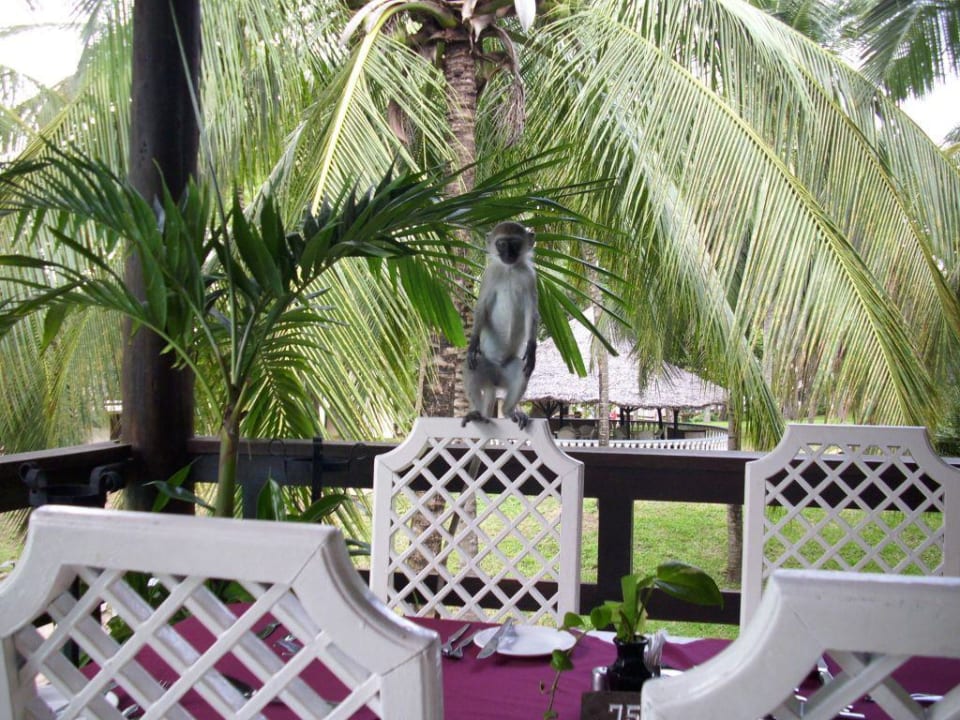 Wo ist der Kellner? PrideInn Flamingo Beach Resort & Spa