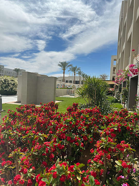 Gartenanlage Jaz Aquaviva