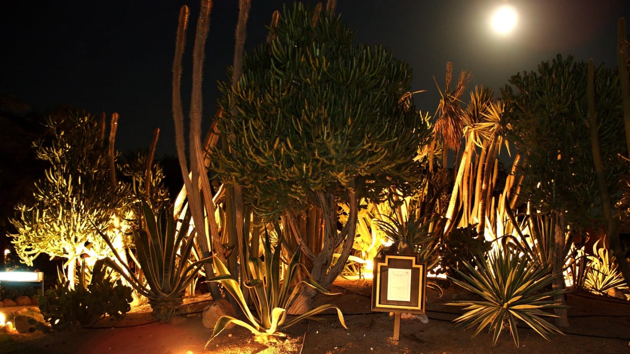 Zahrada je plná exotických rostlin Hotel Nubian Village