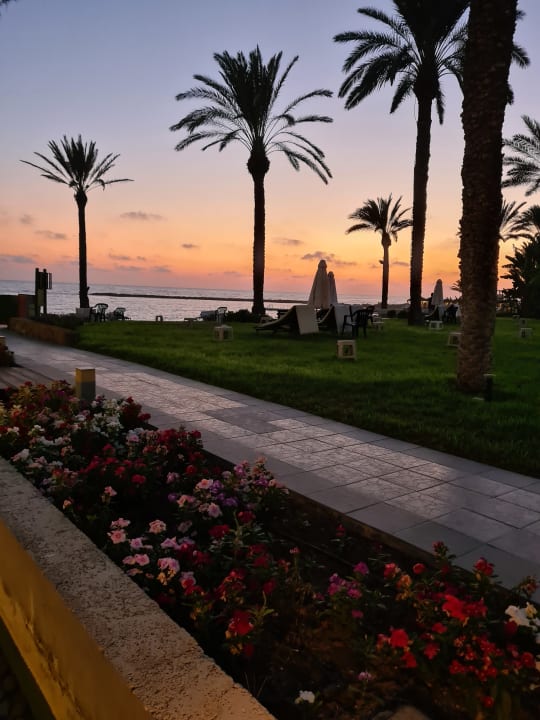 Außenansicht TUI BLUE Pioneer Beach