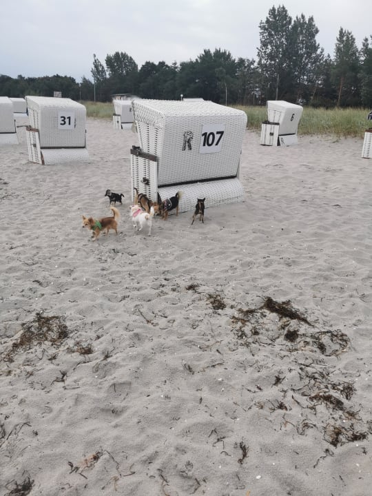 Strand Seehotel Großherzog von Mecklenburg