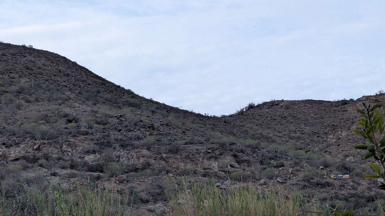 Sport & Freizeit Bio Finca - Las Tenerías