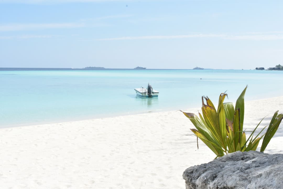 Strand Summer Island Maldives