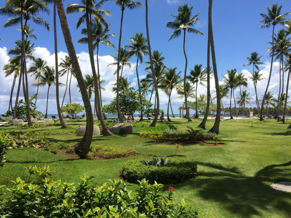 Gartenanlage Wyndham Alltra Samana