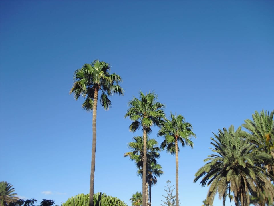 Garten HL Miraflor Suites Hotel