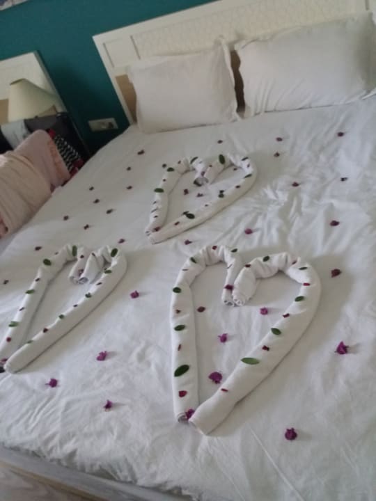 Zimmer Green Bay Resort & Spa