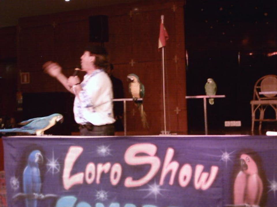 Papageien-Show_Abendshow Hotel Beatriz Playa & Spa
