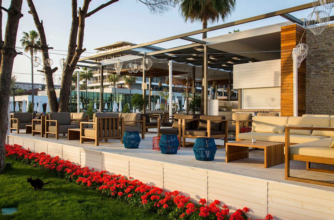 Gastro Acanthus Cennet Barut Collection