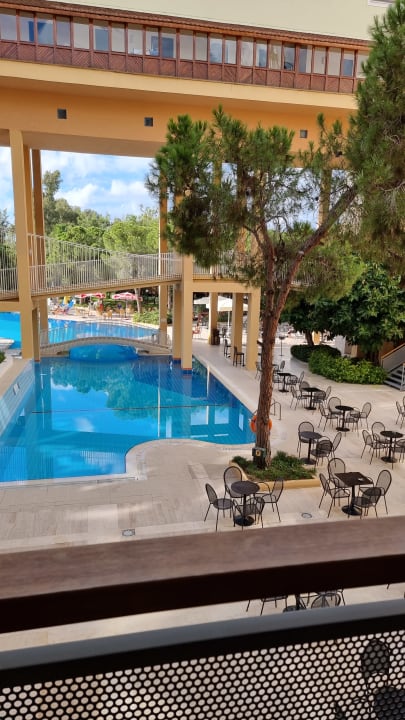 Pool Asteria Collection Side