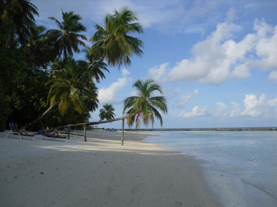 Traumhaft Sun Siyam Vilu Reef