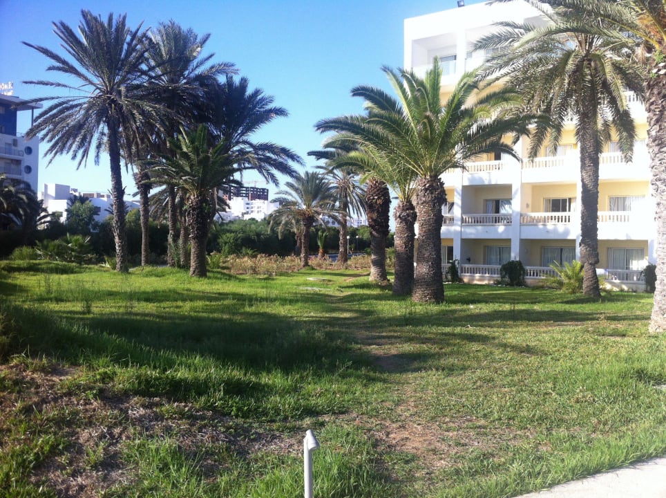 Ungepflegte Gartenanlage! Hotel Marhaba Club