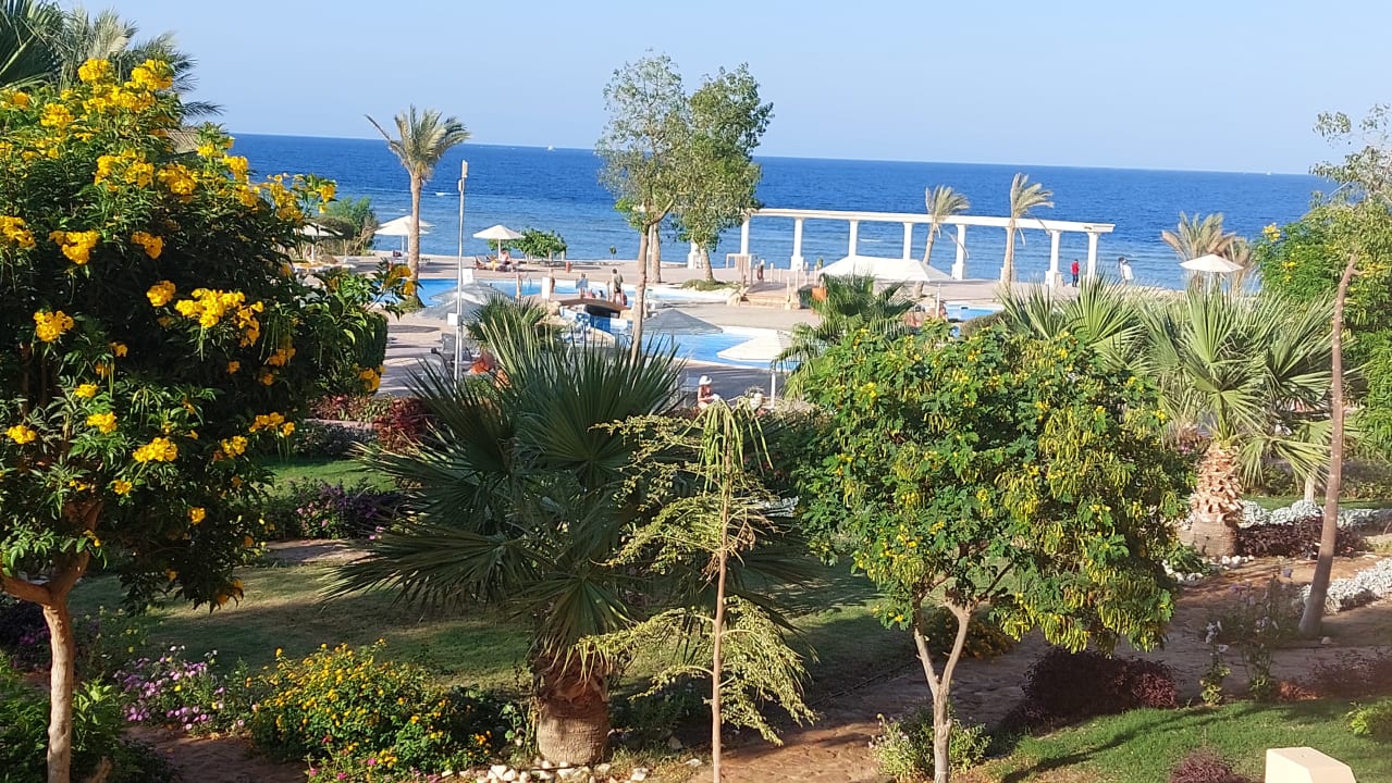 Gartenanlage Three Corners Equinox Beach Resort