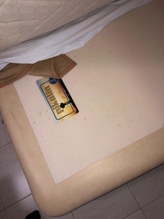 Zimmer Relaxia Olivina