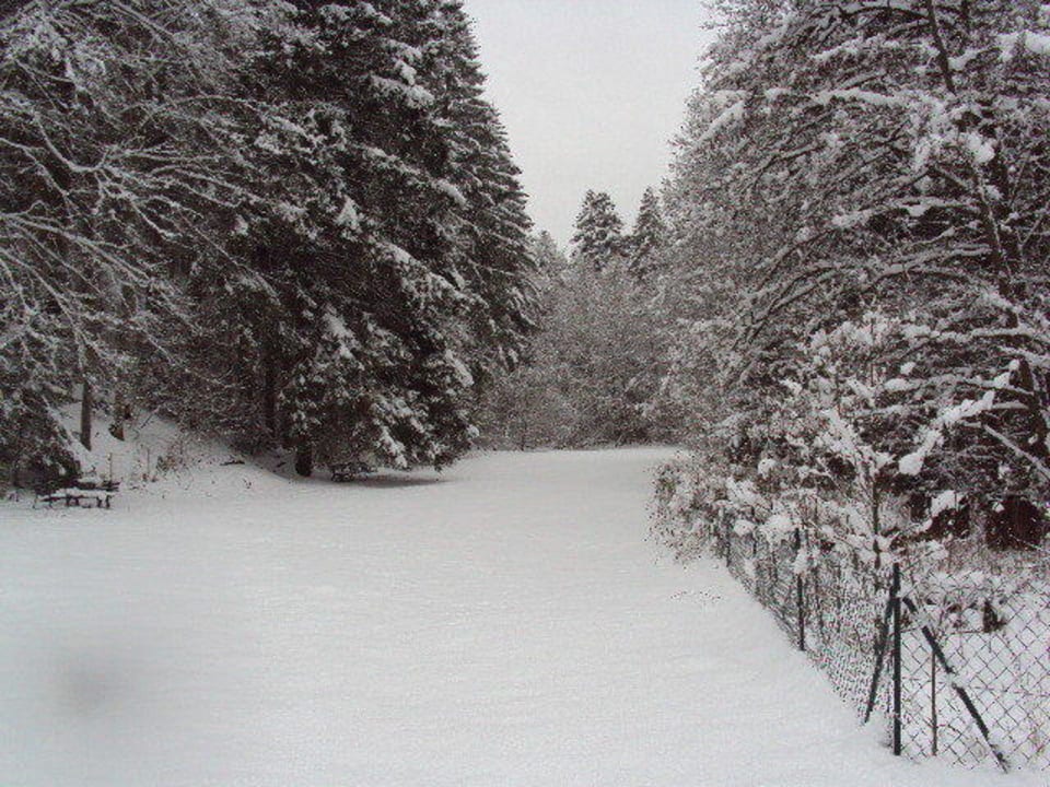 Landhaus Walkenmühle Hotel Landhaus Walkenmühle