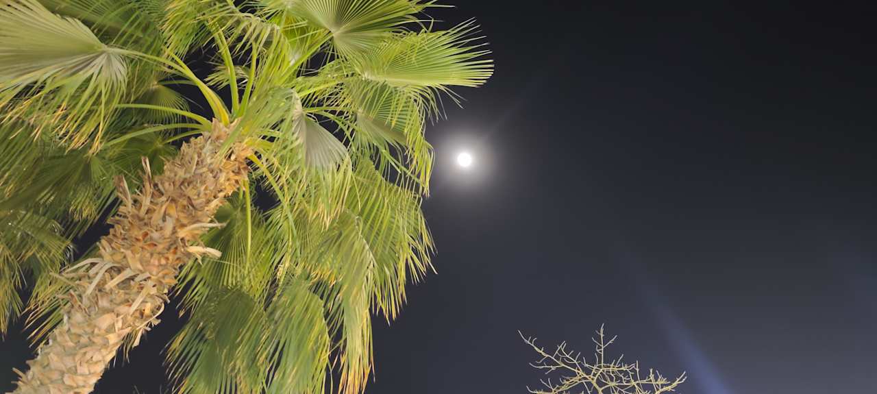 Strand Giftun Azur Resort