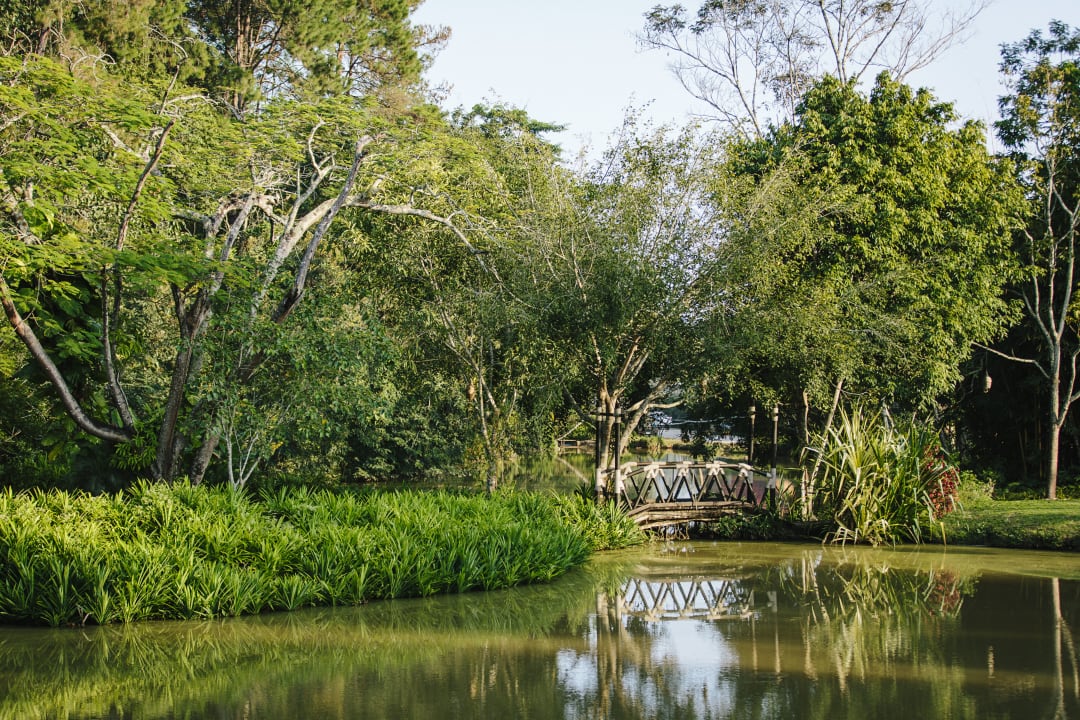 Gartenanlage Anantara Golden Triangle Elephant Camp & Resort