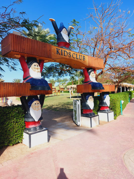 Sport & Freizeit Desert Rose