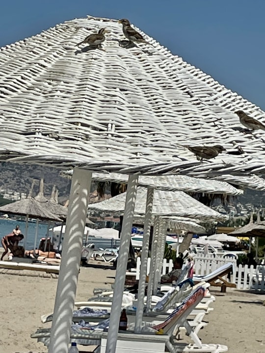 Strand Atlantique Holiday Club