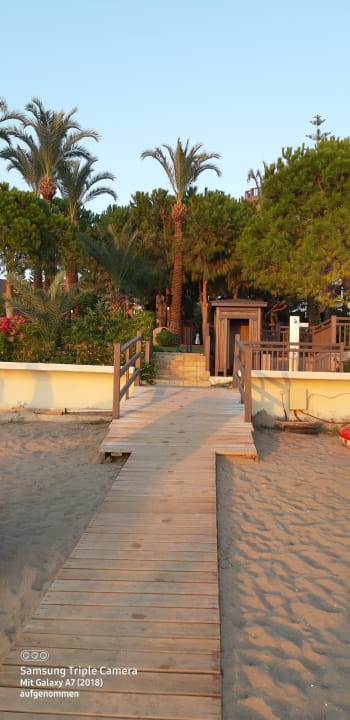 Strand PALOMA Perissia