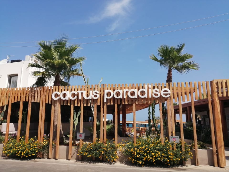 Strand Cactus Beach