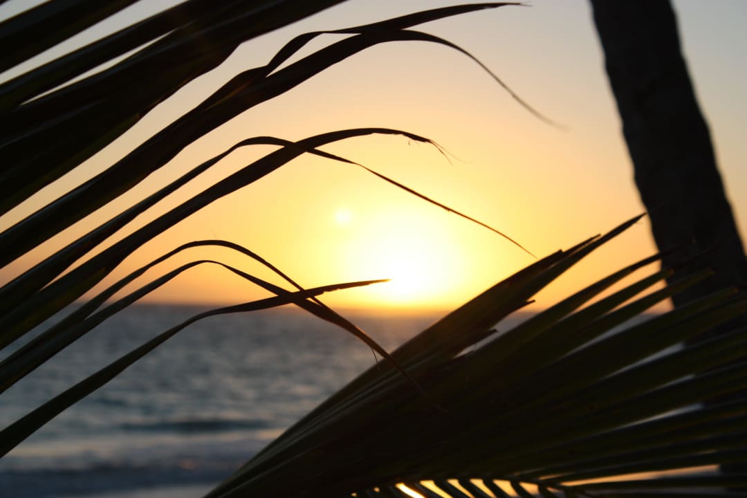 Traumhaft schöner Sonnenaufgang Grand Palladium Punta Cana Resort & Spa