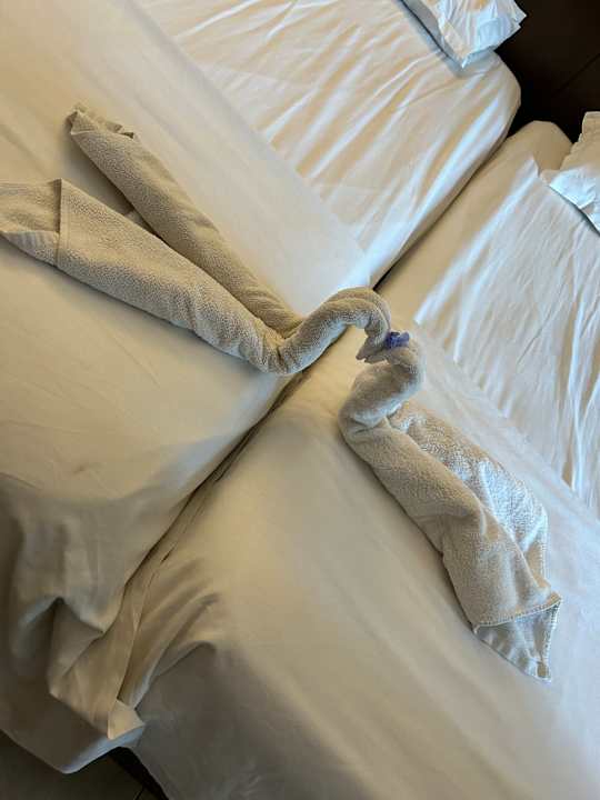 Zimmer El Mehdi Beach Resort