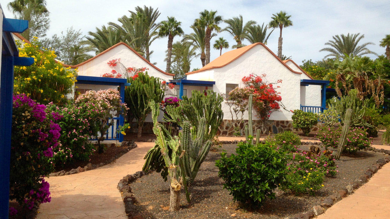 Überall in der Anlage blüht und grünt es Aldiana Club Fuerteventura