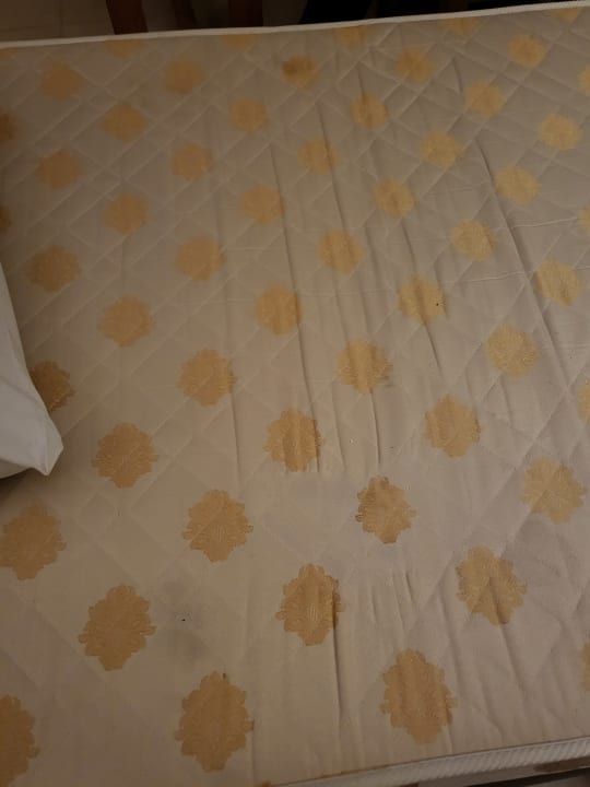 Zimmer Regina Resort and Aqua Park Hurghada