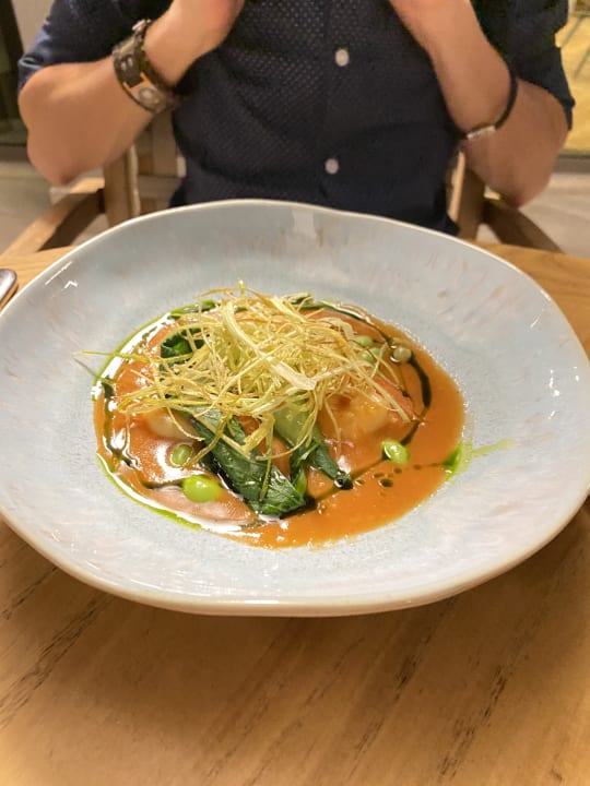 Gastro Acanthus Cennet Barut Collection