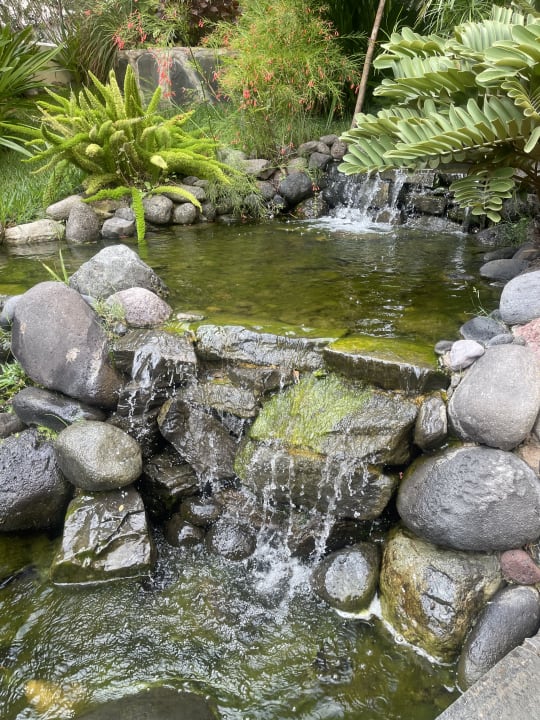 Gartenanlage allsun Hotel Lucana