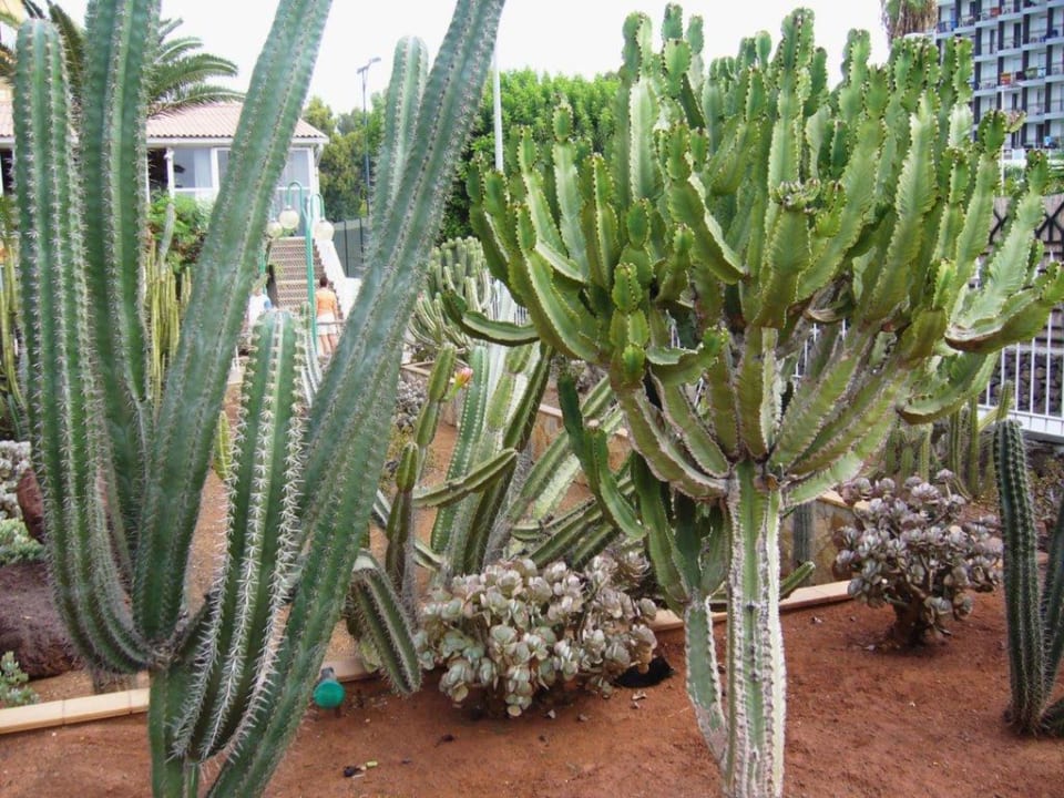 Garten Hotel Europalace