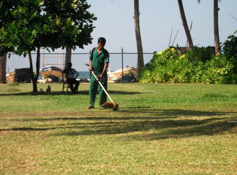 Rasenmähermann Earl’s Reef Beruwala