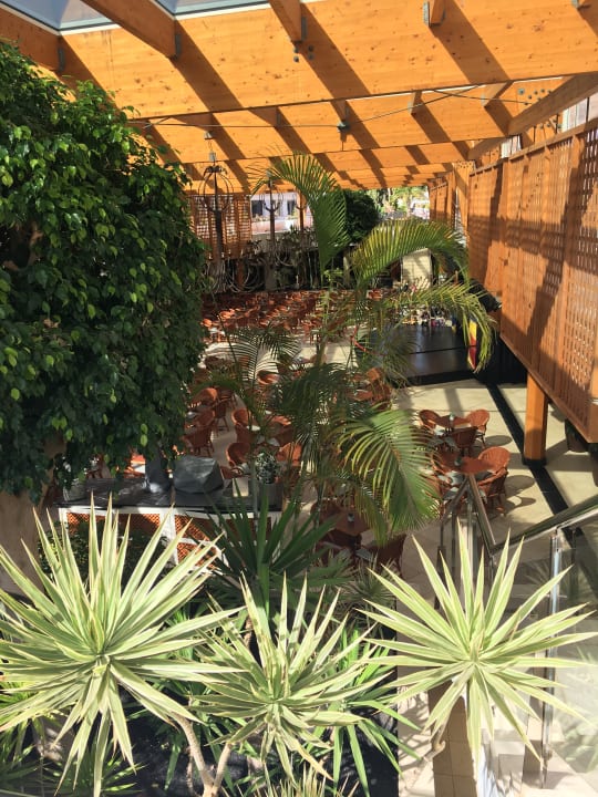 Gastro allsun App.-Hotel Barlovento