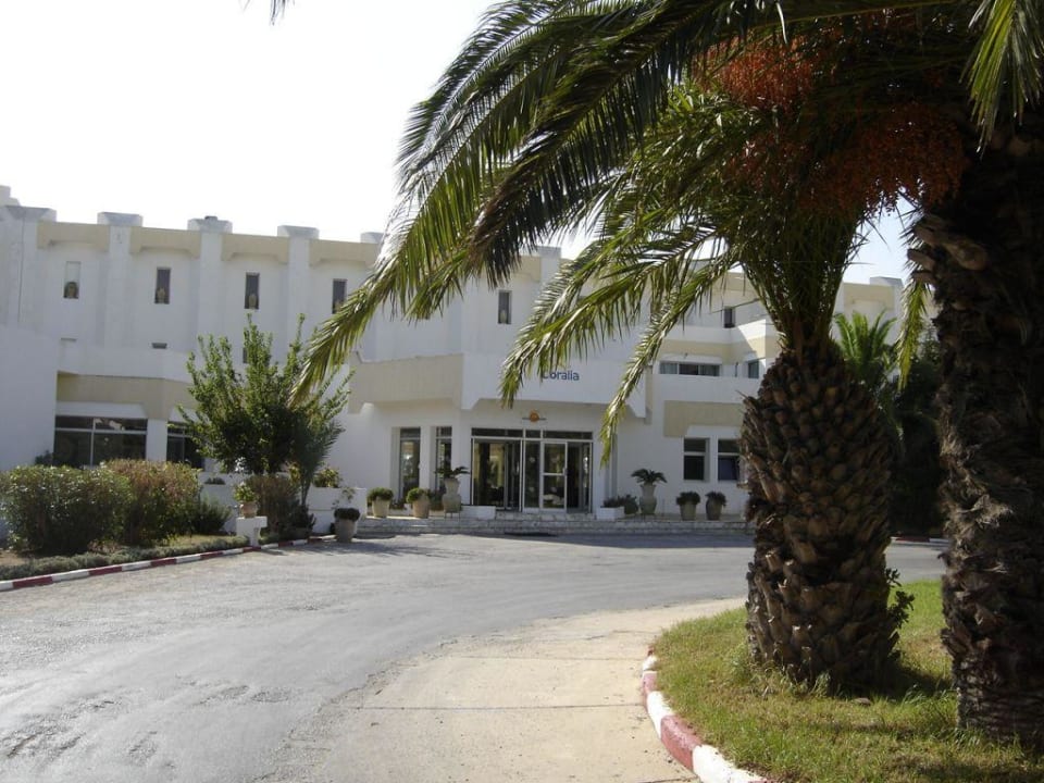 Palm Beach TUI BLUE Palm Beach Hammamet