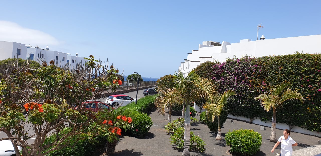 Ausblick allsun App.-Hotel Albatros