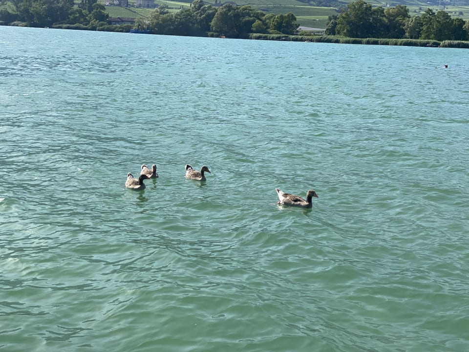 Strand Parc Hotel am See