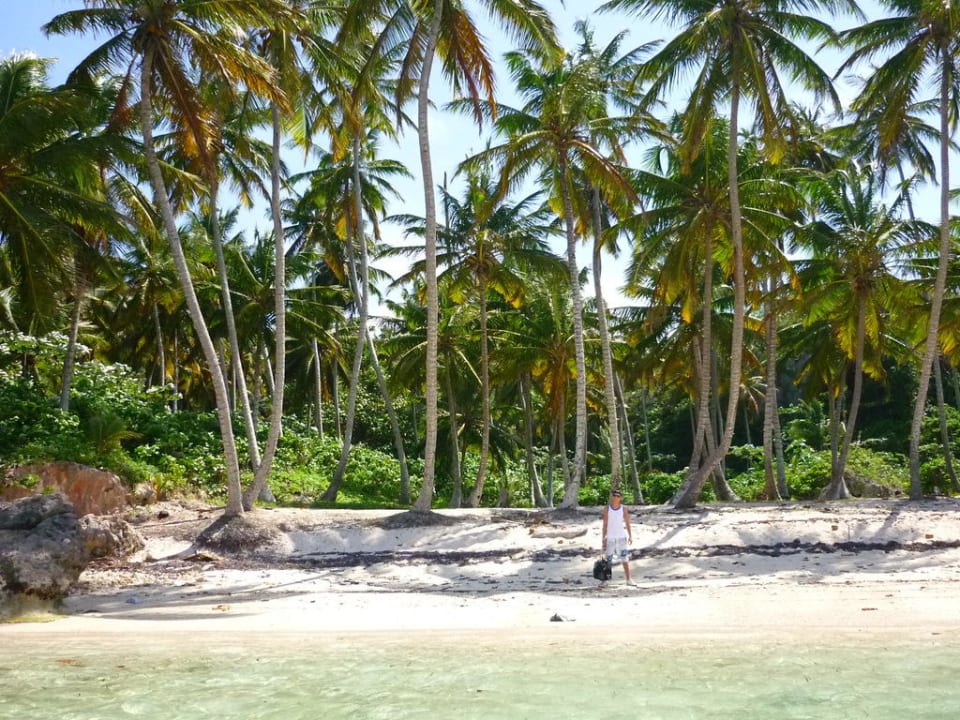 Strand Playa Madama Wyndham Alltra Samana