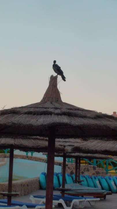 Vom Pool Titanic Beach Spa & Aqua Park