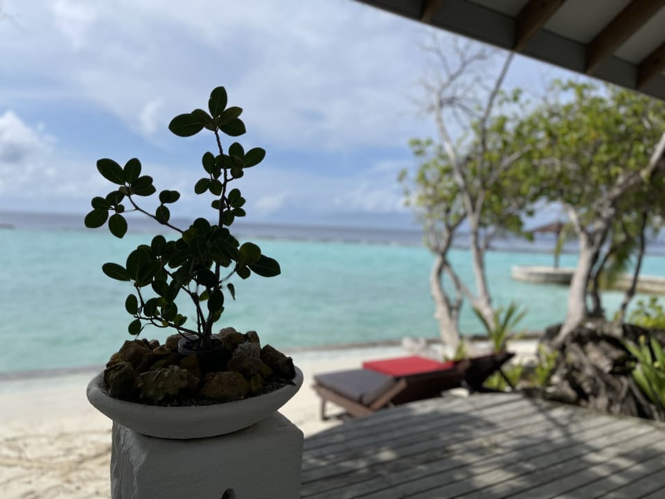 Zimmer Ellaidhoo Maldives by Cinnamon