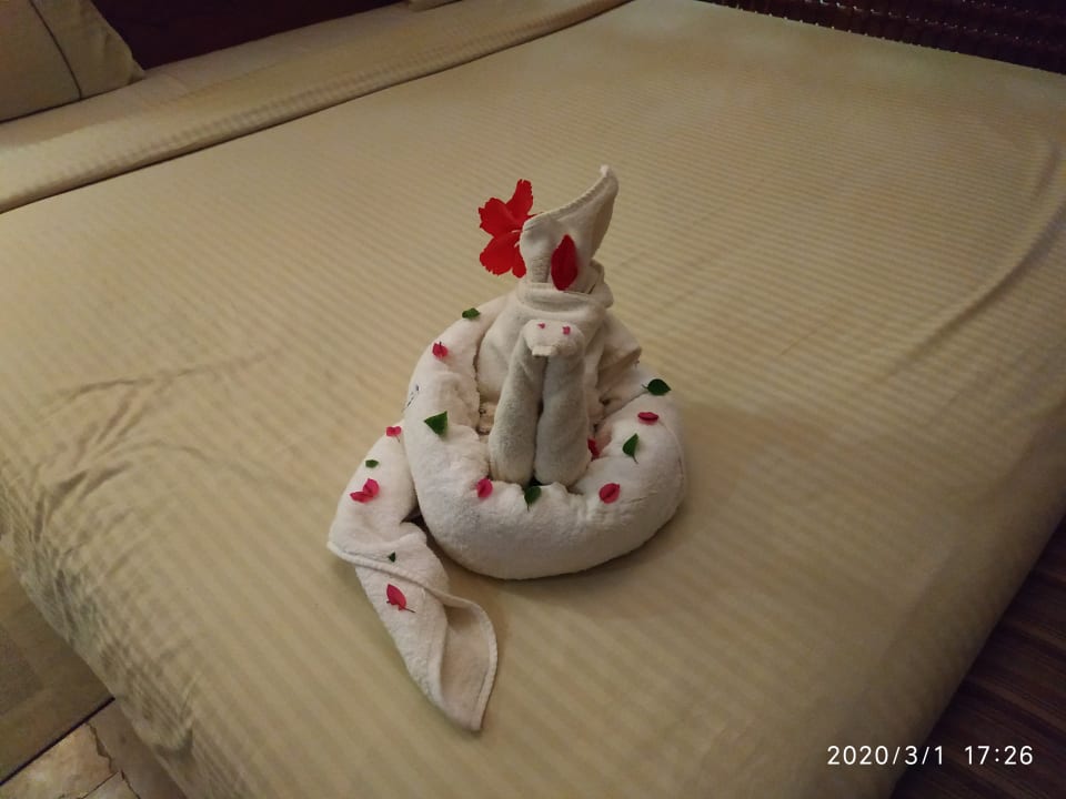 Zimmer Grand Waterworld Makadi & Family Star Makadi