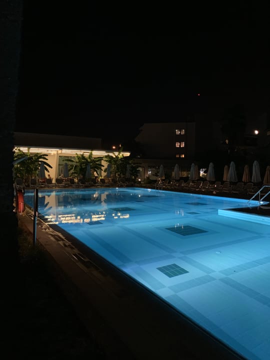 Pool Side Star Elegance