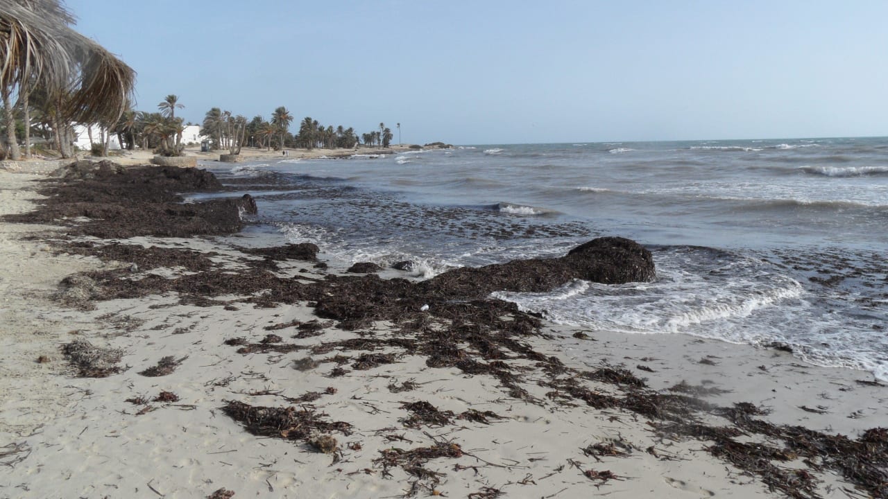 Hotelstrand Hotel El Mouradi Djerba Menzel