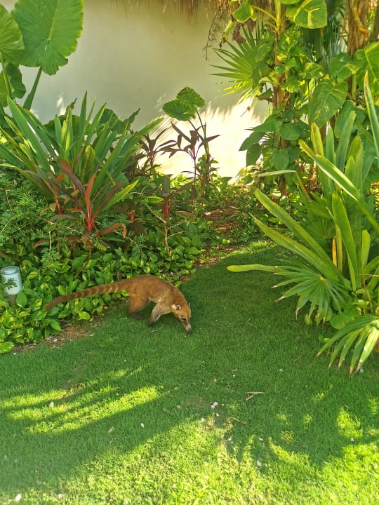 Gartenanlage Bahia Principe Grand Tulum